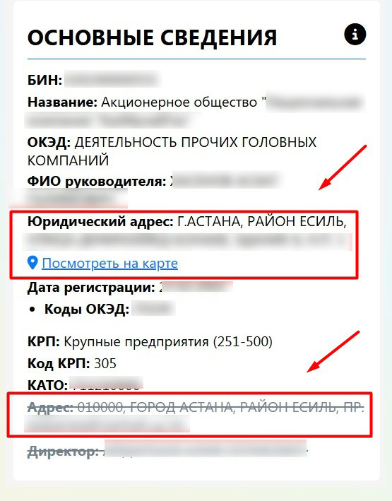 Интерфейс KIBERON для проверки адреса ТОО в Казахстане