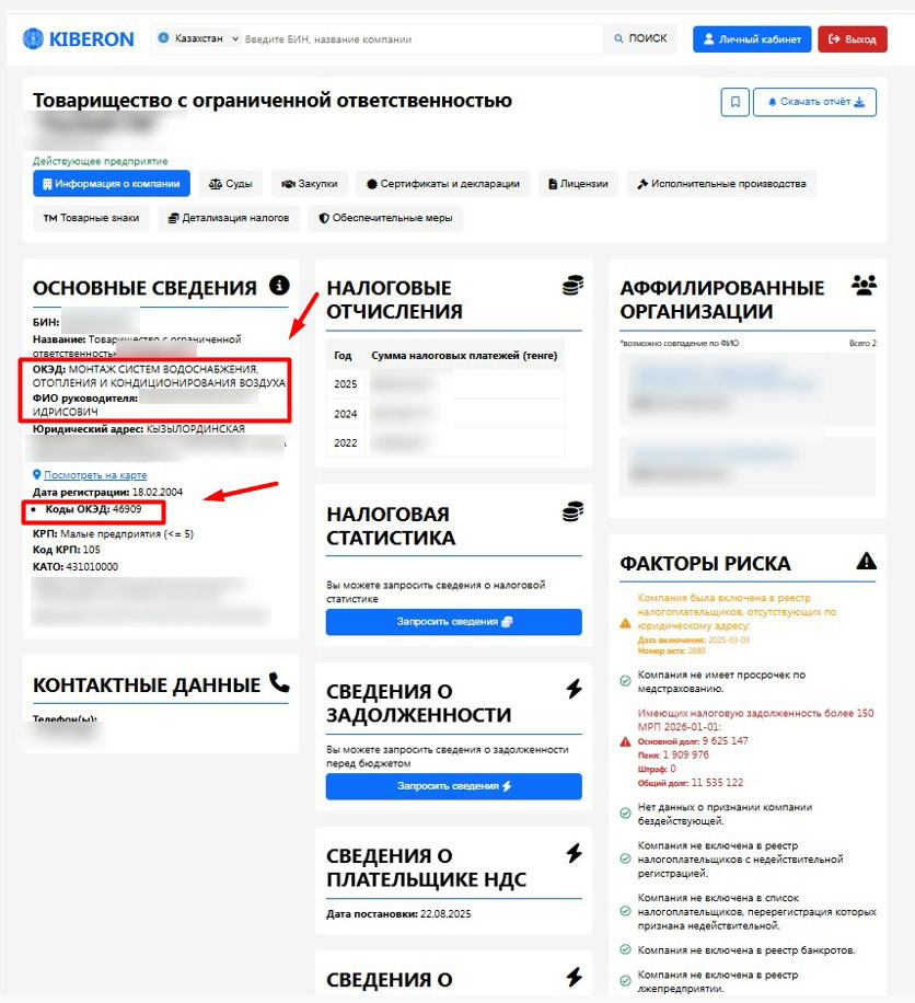 Зачем проверять ОКЭД по БИН перед сделкой в Казахстане
